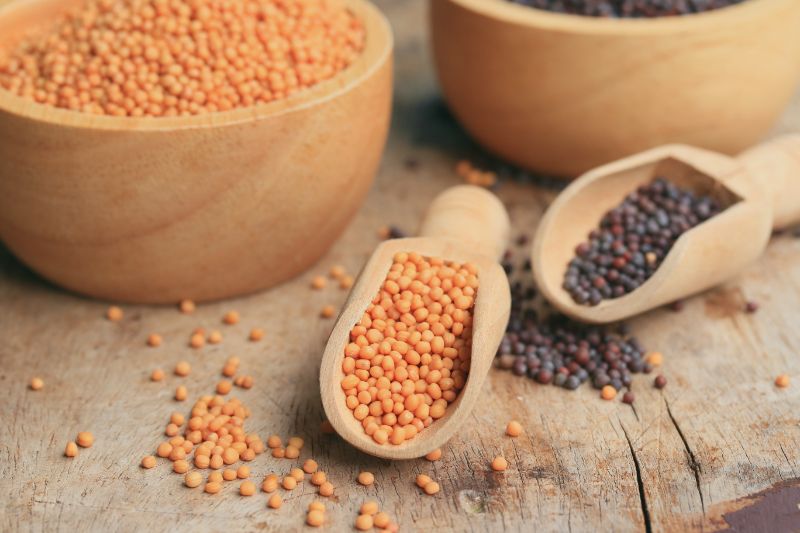 Mustard seed shortage sends seed prices soaring, curbs some supply of
